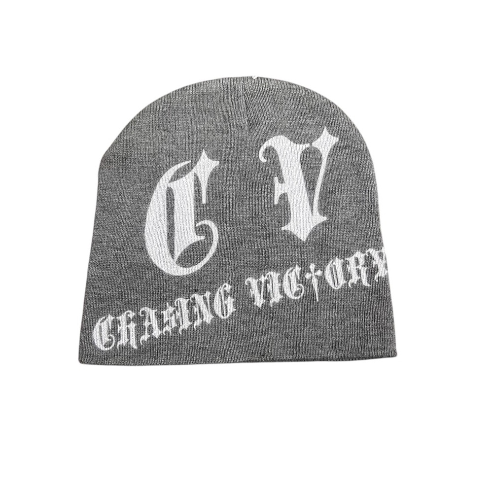 New Chasing Victory Grey What Are‎ You Chasing Beanie